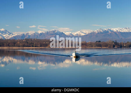 Fischer mit seinem Boot auf dem Lago di Varese, Lago di Varese, mit den Alpen im Rücken, Lago di Varese, Varese, Lombardei / Lombardei Stockfoto