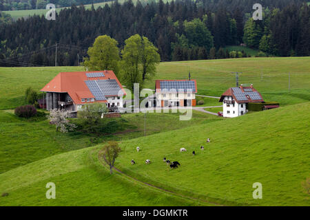 Alter Bauernhof mit Nebengebäuden, Solarzellen auf den Dächern, Schwarzwald, St.Märgen, Baden-Württemberg, Deutschland Stockfoto