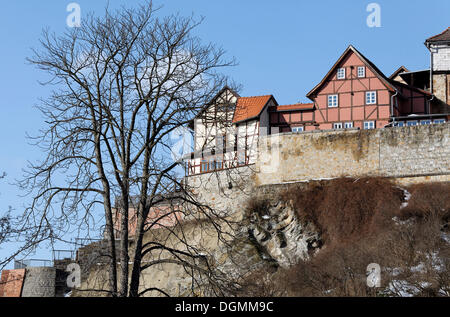 Historische Häuser auf dem Amtsgebietes Hügel, Quedlinburg, Harz, Sachsen-Anhalt Stockfoto