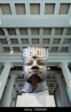 Kopf des ägyptischen Königs Amenophis III aus Theben, monumentalen Granit Bildhauerei, British Museum, London, England Stockfoto