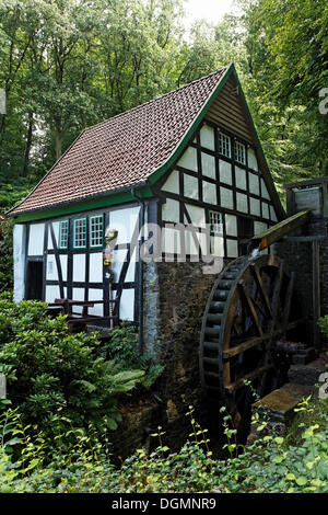 Romantische Wasser Mühle, Fachwerkhaus, Bad Essen, Osnabrücker Land/Region, Niedersachsen Stockfoto