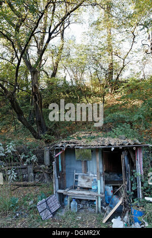 Verlassene Hütte der wilden kleinen Zuteilung Garten, Nachbarschaft Sanierung, Projekt grünes Band, Duisburg-Bruckhausen Stockfoto