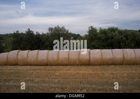 Eine Reihe von Stroh Rundballen in Katalonien, Spanien. Stockfoto