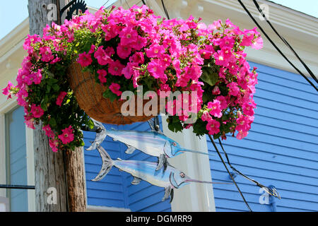 Hängende Zeichen Darstellung Schwertfisch, Montague St., Lunenburg, Ostufer, Seeprovinzen, Nova Scotia, Kanada Stockfoto