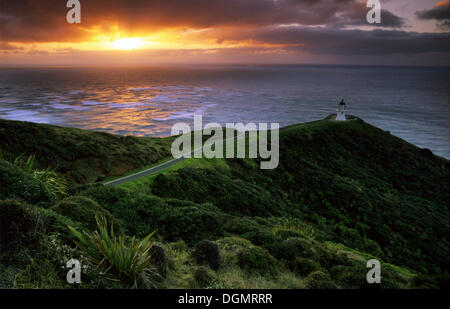 Leuchtturm am Cape Reinga, Northland, Aupouri-Halbinsel, Nordinsel, Neuseeland Stockfoto