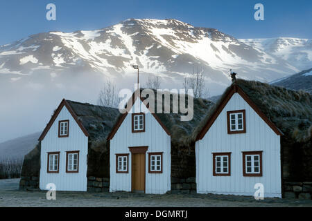 Rasen-Häuser und das Laufás Museum, Akureyri, Nord-Island, Europa Stockfoto