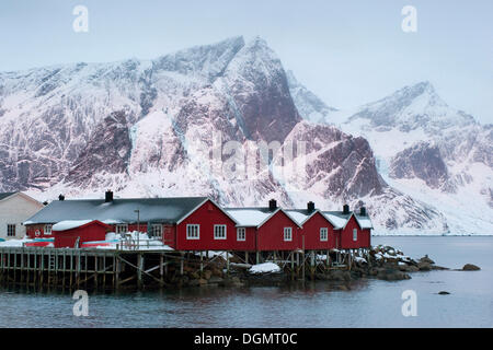 Traditionelle hölzerne Häuser, Rorbuer, Reine, Moskenes, Moskenesøya, Lofoten, Norwegen, Europa Stockfoto