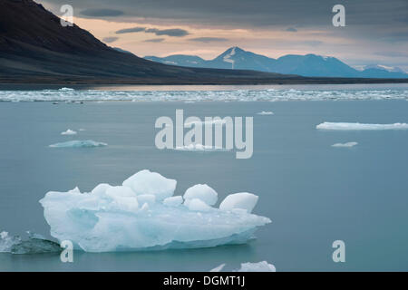 Eis-Eisschollen treiben im Billefjord an einem bewölkten Sommertag, Spitzbergen, Svalbard, Norwegen, Skandinavien, Europa Stockfoto