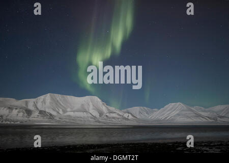 Grüne Nordlicht, Aurora Borealis, über die Berge von Longyearbyen, beleuchtet von den Halbmond Mond, Spitzbergen, Svalbard Stockfoto