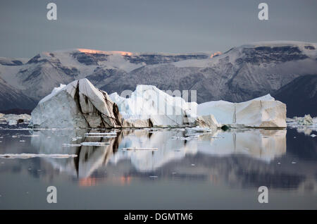 Eisberge und Berge im Abendlicht mit Reflexionen, Rødefjord, Scoresbysund, Sermersooq, Grönland Stockfoto