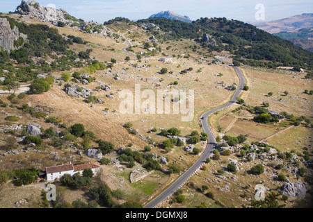 Von Grazalema Dorf gesehen Straße führt durch die Landschaft des Naturparks Sierra de Grazalema, Provinz Cadiz, Spanien Stockfoto
