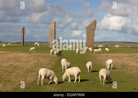 Inseln von Orkney, Schottland. Malerische Aussicht auf die verbleibenden vier Megalithen, die Standing Stones von Stenness bilden. Stockfoto