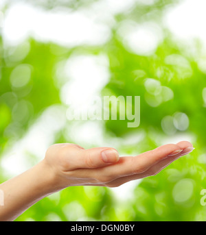 Weibliche Hand auf jungen grünen Blätter Hintergrund Stockfoto