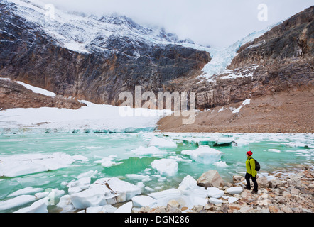 Angel-Gletscher und Cavell Lake auf Mount Cavell Jasper Nationalpark Alberta Kanada Nordamerika Stockfoto