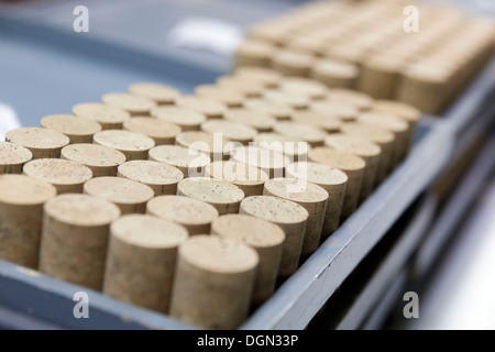 Korken in einer Flaschen-Kork-Fabrik in Spanien gesehen Stockfoto