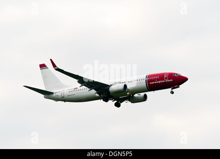 Norwegian Air Shuttle Boeing 737 Flugzeug im Landeanflug auf London Gatwick Airport West Sussex England Großbritannien Stockfoto