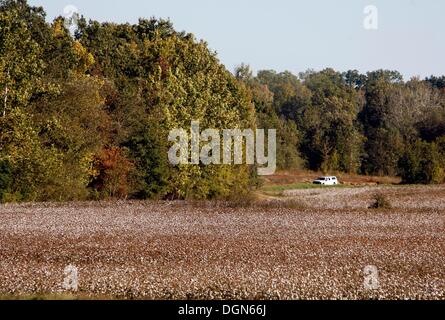 Sommerville, Tennessee, USA. 22. Oktober 2013. 22. Oktober 2013 - abstürzen Beamten Untersuchung eines Hubschraubers Laufwerk aus der waldreichen Umgebung in der Nähe von dem Absturz und durch ein Baumwollfeld, wie sie die Szene verlassen. Frühen Dienstagmorgen wurden drei Menschen getötet, als ein Rettungshubschrauber aus Krankenhaus Flügel Memphis in einer waldreichen Gegend in Somerville abgestürzt. Der Pilot, eine Krankenschwester und ein Atmungstherapeut waren auf dem Weg, Bolivar, Tennessee, als der Helikopter auf US-64, etwa 50 Meilen von Memphis unterging. © Karen Pulfer Focht/kommerzielle Appeal/ZUMAPRESS.com/Alamy Live News Stockfoto