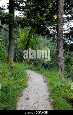 Berchtesgaden, Deutschland, ein Wanderweg auf den Adlerhorst Stockfoto