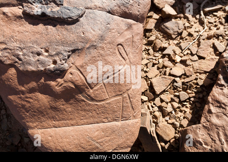 Prähistorische Felszeichnungen auf Aman Ighribin auf der Tata Akka Road in Marokko Stockfoto