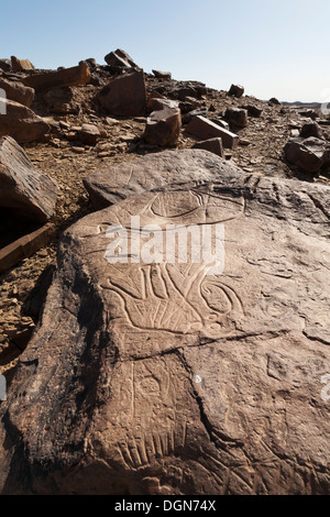 Prähistorische Felszeichnungen auf Aman Ighribin auf der Tata Akka Road in Marokko Stockfoto