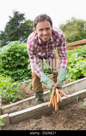 Mann trägt eine Check Shirt präsentieren einige Karotten Stockfoto