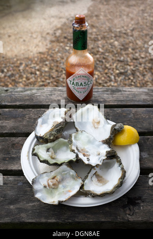 Teller mit leeren Austernschalen mit Zitrone und tabasco Stockfoto