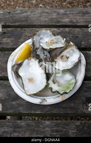 Teller mit leeren Austernschalen mit Zitrone und tabasco Stockfoto