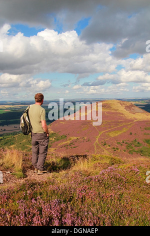 Kaukasische Walker Blick in Richtung Norden Eildon Hill, Eildon Hills, Grenzen, Schottland, UK-Modell veröffentlicht Stockfoto