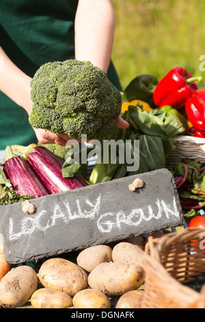 Bio-Gemüse präsentiert auf einem Ständer zum Verkauf Stockfoto