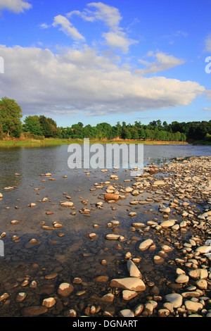 Fluss Tweed, Tweeddale, Nr Newstead, Grenzen County, Scotland, UK Stockfoto