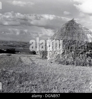 Historisches Bild von 1950 s einer Gemähten Heu Feld mit großen konisch geformte Heuballen. In dieser ära Landwirte gestapelt oder tooked "das Heu in großen Kegelförmigen Strukturen in das Heu Feld, wo sie blieben, bis sie benötigt wird. Die Heuhaufen ordnungsgemäß vorgenommen oder es wäre, wenn es nass ist rot und so das Heu ist "Gekämmt", um das Äußere so wasserdicht wie möglich zu machen, wie eine altmodische Strohdach. Stockfoto