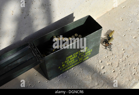 Munition kann ist gefüllt mit scharfer Munition und Messing-Gehäuse bei einer Munition Minderung Kontrolle entdeckt. Wenn ein Fahrzeug oder Container mit Munition, Sprengstoff oder abgebrannten Messing, durch einen Zollagenten oder Arbeiter an einem Hafen oder auf dem Weg zum Hafen gefunden wird, Stockfoto