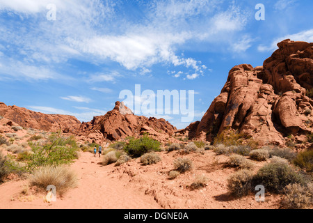 Wanderer auf der Maus Tank Trail, Valley of Fire State Park, nördlich von Las Vegas, Nevada, USA Stockfoto