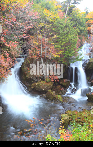 Ryuzu Wasserfall des Herbstes in Nikko, Tochigi, Japan Stockfoto