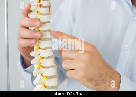 Nahaufnahme von männlichen Ärzten Hand auf Skelettmodell zeigt Stockfoto