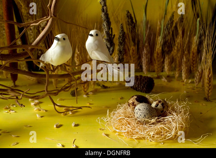 Wachtel-Eiern-Stillleben Stockfoto