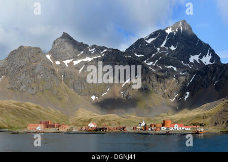 Ehemalige Grytviken Walfangstation, Südgeorgien und die Südlichen Sandwichinseln, Vereinigtes Königreich Stockfoto