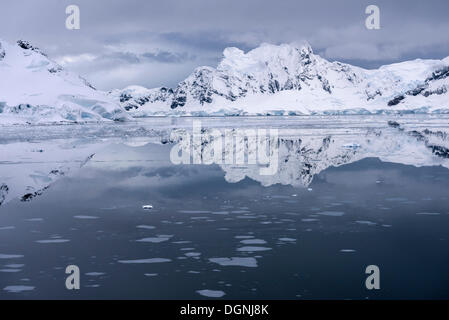 Vergletscherte Berge spiegeln sich in Paradise Bay, antarktische Halbinsel, Antarktis Stockfoto