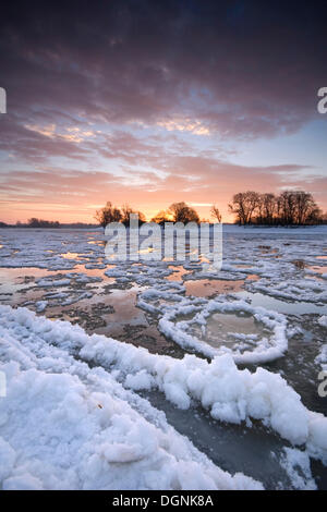 Eis-Eisschollen auf der Elbe bei Dessau bei Sonnenaufgang, Sachsen-Anhalt Stockfoto