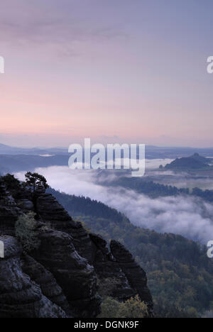 Blick vom Weg des Malers, Elbtal im Morgennebel, Elbsandsteingebirge, Sächsische Schweiz, Sachsen Stockfoto