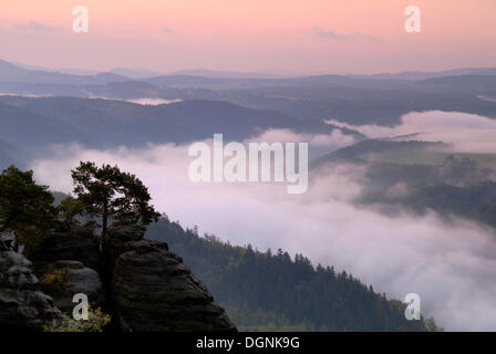 Blick vom Weg des Malers, Elbtal im Morgennebel, Elbsandsteingebirge, Sächsische Schweiz, Sachsen Stockfoto