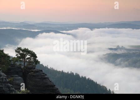 Blick vom Weg des Malers, Elbtal im Morgennebel, Elbsandsteingebirge, Sächsische Schweiz, Sachsen Stockfoto