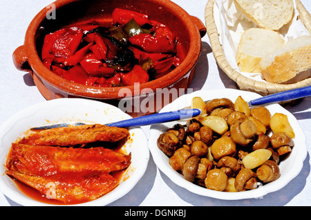 Spanische Tapas Auswahl von Makrelen, Champignons und Paprika, Andalusien, Spanien, Westeuropa. Stockfoto