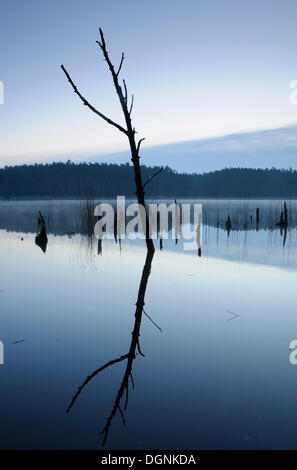 Muehlensee See im Müritz-Nationalpark, Mecklenburg-Vorpommern Stockfoto