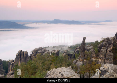 Dawn und Morgen Nebel über dem Fluss Elbe, Sächsische Schweiz, Sachsen Stockfoto