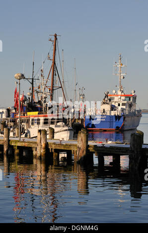 Boote im Hafen von Sassnitz, Rügen, Mecklenburg-Vorpommern Stockfoto