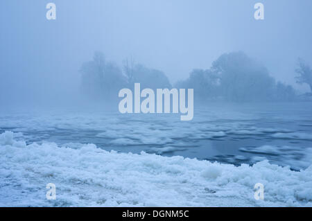 Schnee und Eisschollen auf der Elbe an einem kalten Wintermorgen, in der Nähe von Dessau-Roßlau, Sachsen-Anhalt Stockfoto