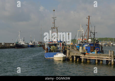 Angelboote/Fischerboote und Schiffe im Hafen, Sassnitz, Rügen, Mecklenburg-Western Pomerania, Deutschland Stockfoto