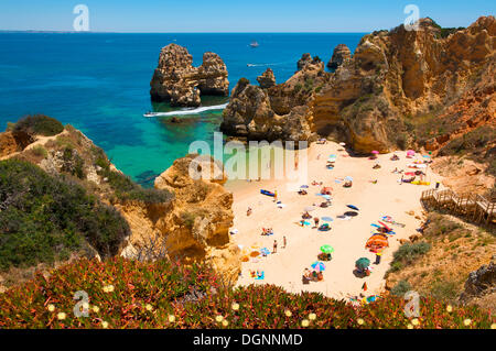 Praia Camilo, Algarve, Portugal, Europa Stockfoto