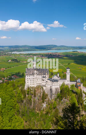 Schloss Neuschwanstein Schloss und See Forggensee, Füssen, Allgäu, Bayern Stockfoto